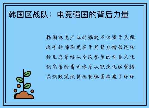 韩国区战队：电竞强国的背后力量